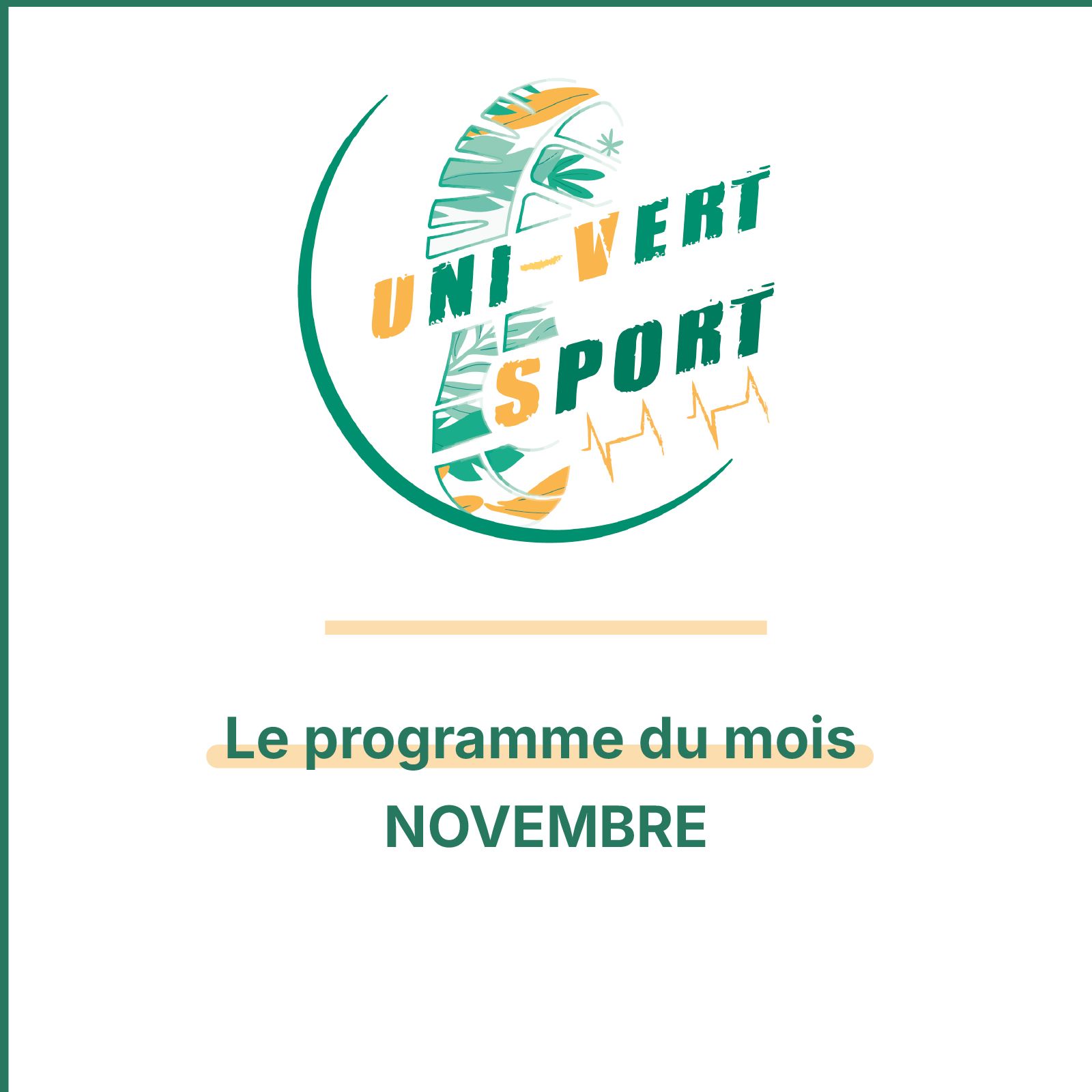 Les actus du mois de novembre